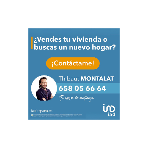 Thibaut Montalat - Asesor inmobiliario IAD